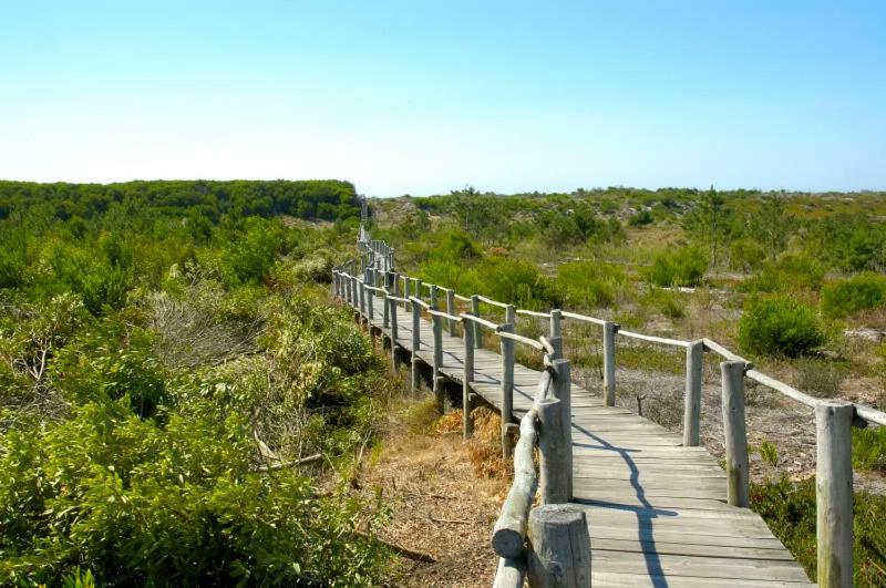 Holiday home Casa Dos Amigos - A Luxury In The Nature Torreira